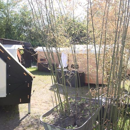 Strandgutkoje Auf Dem Campingplatz Strandgut Cuxhaven Ngoại thất bức ảnh